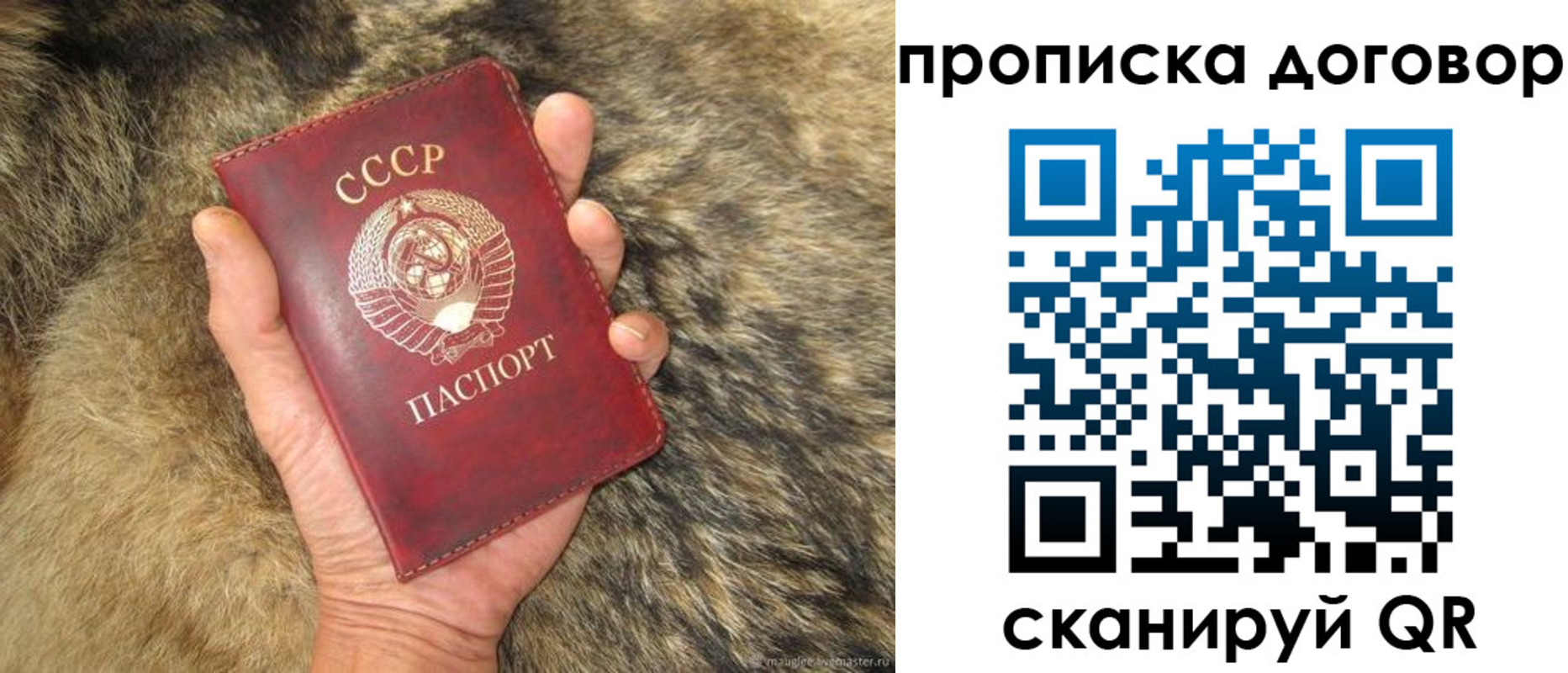 прописка регистрация в Архангельской области